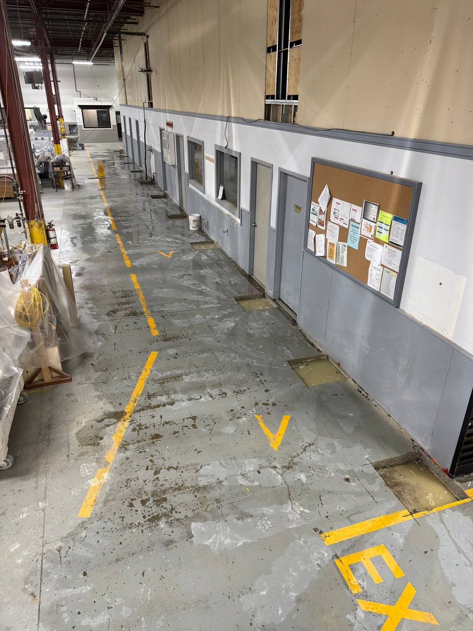 Concrete Scanning Hamilton